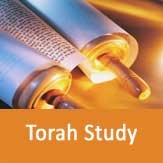 torah-study.jpg